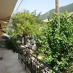 Angelik Ipsos No1